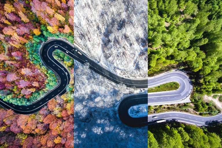 a road graphic winding through different seasons